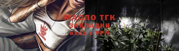 индика Бугульма